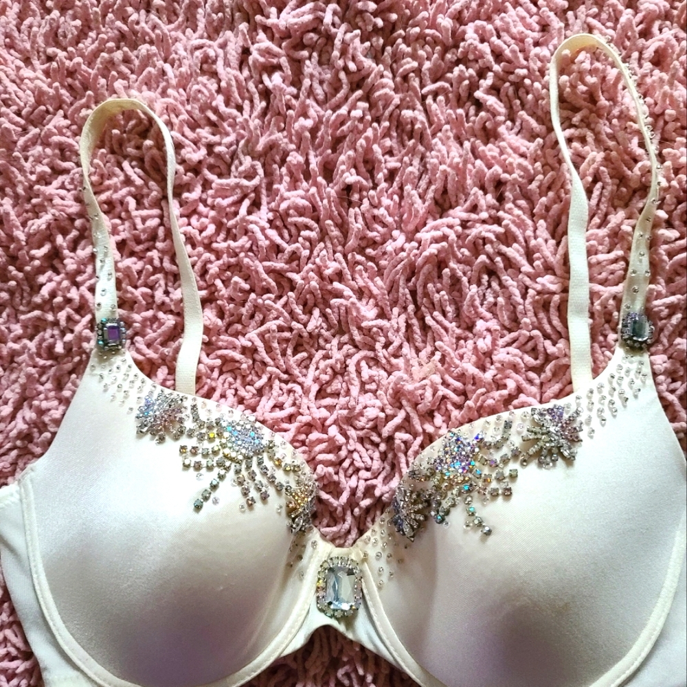 Beautiful Rare Jeweled Bra 34C